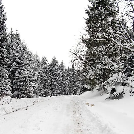 Вилла Ignatyeva Сходница