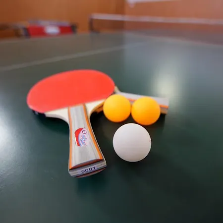 Villa Ignatyeva Skhidnytsia