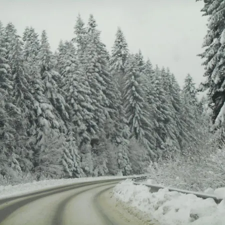 Ignatyeva Villa *