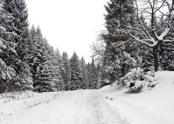 Villa Ignatyeva Skhidnytsia