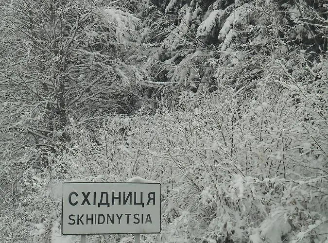 Vila Ignatyeva *