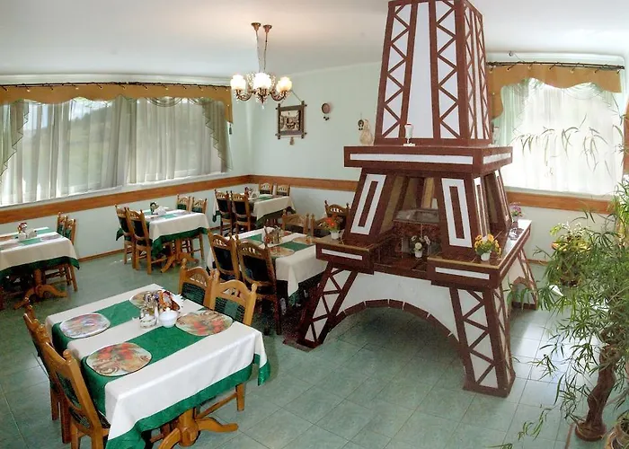 Vila Ignatyeva *