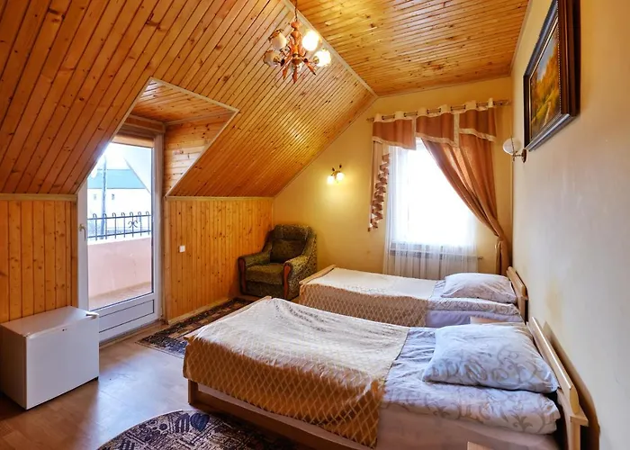 Vila Ignatyeva *